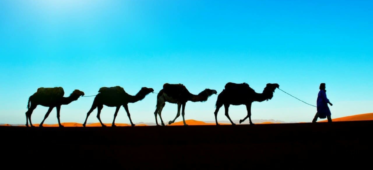 Contact Us for your Morocco Private tour