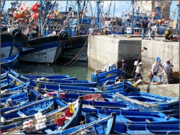 Special Morocco Tours