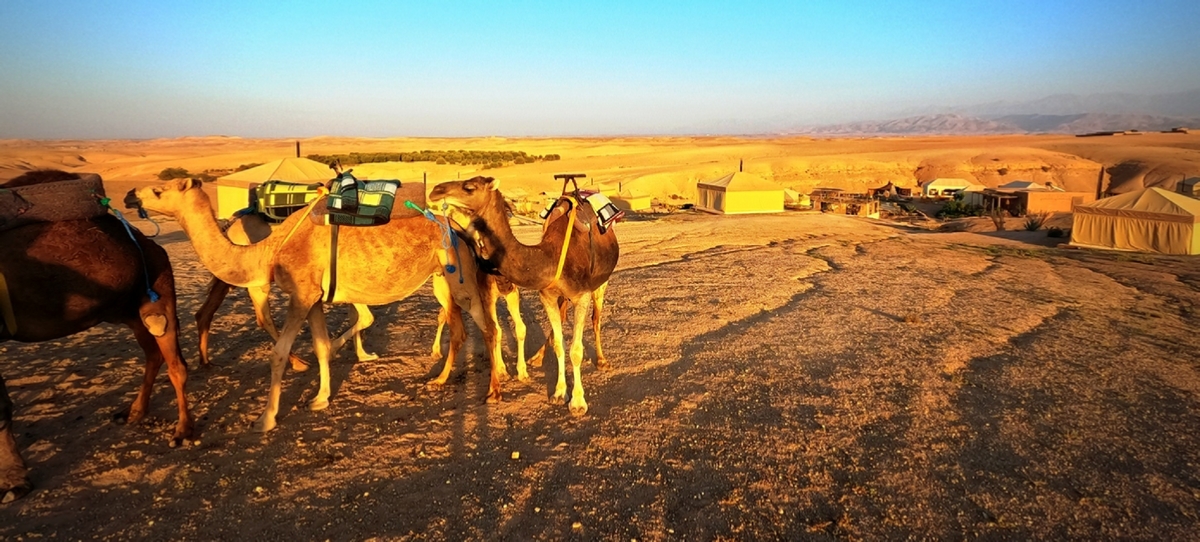 Day Trip from Marrakech