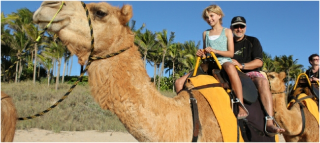 Marrakech Camel Ride