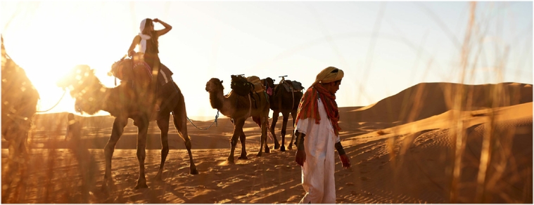 7-Day Morocco Camel Trekking Tour 7-Day Morocco Camel Trekking Tour